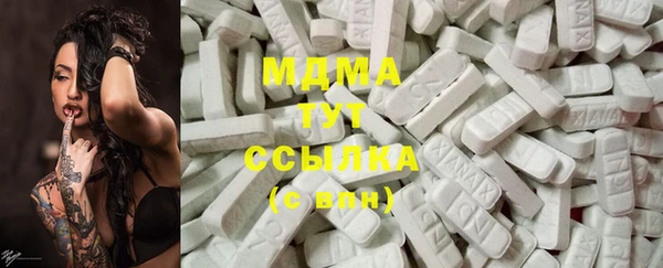 гашик Карпинск