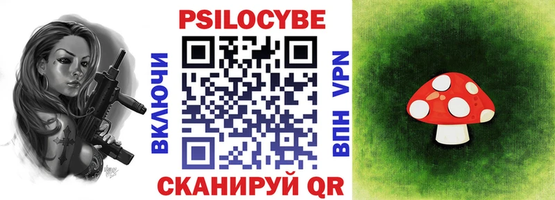Купить где  Богучар  Галлюциногенные грибы Psilocybe 